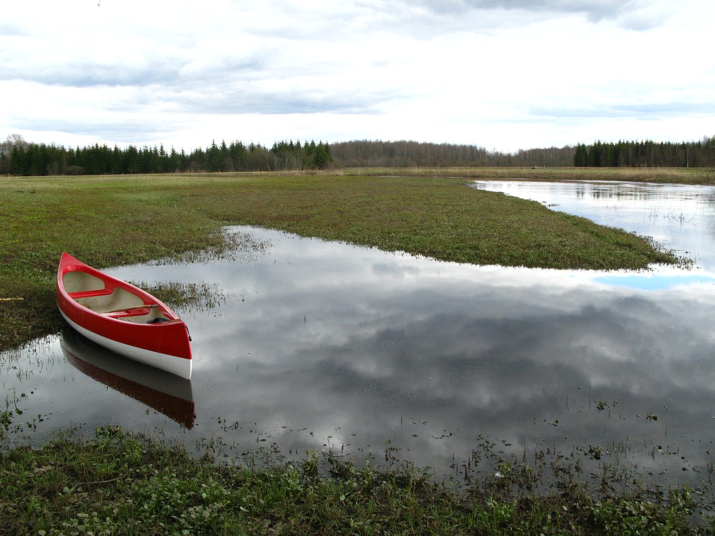 Soomaa Bog Walk and Canoe Day