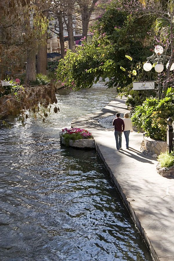 Restaurants and cypress trees along the San Antonio River Walk