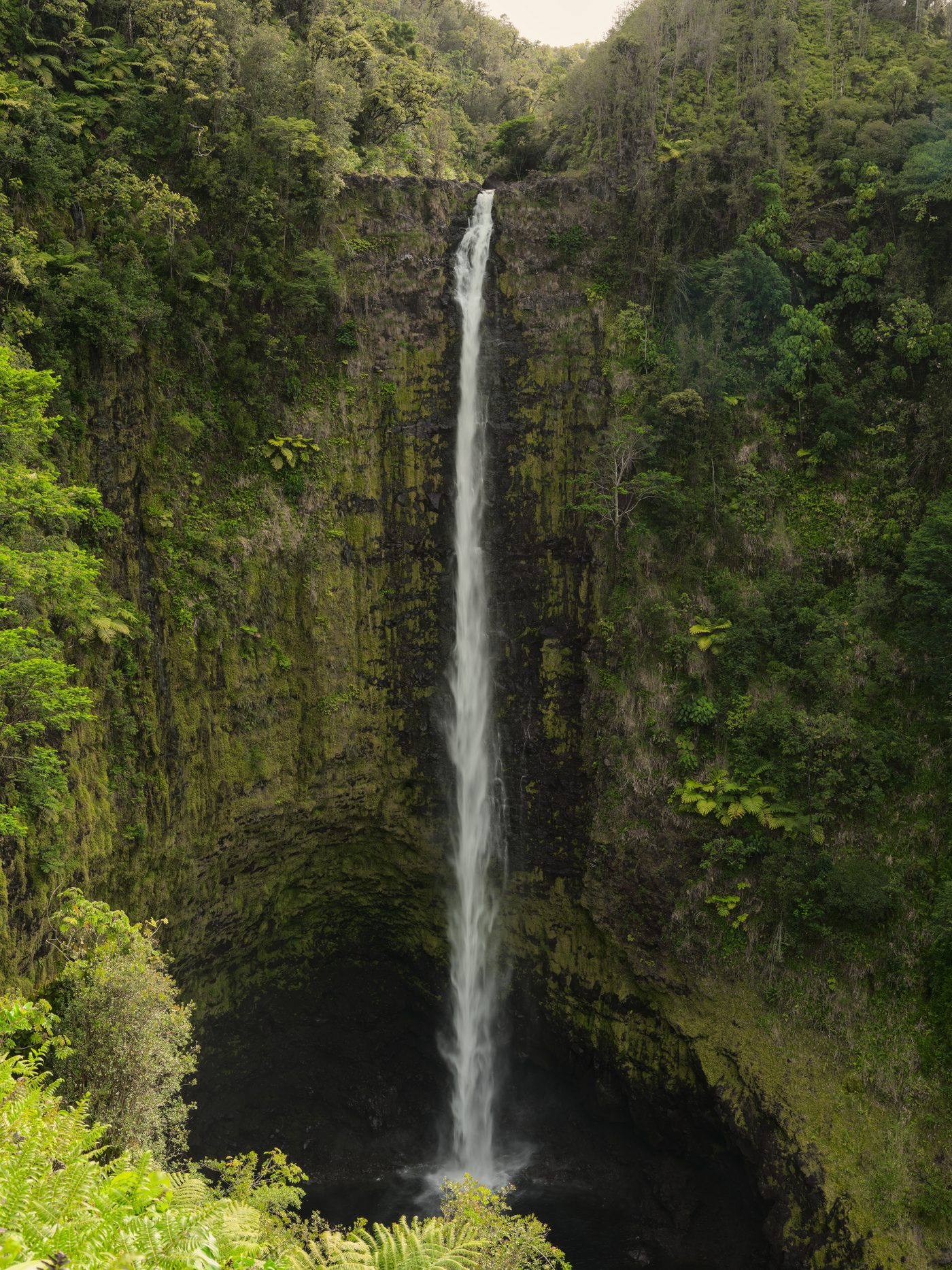 Akaka Falls and Hamakua Coast Drive