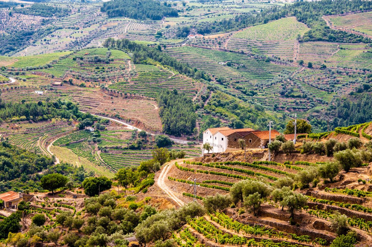 Douro Valley Day Trip with Two Quintas