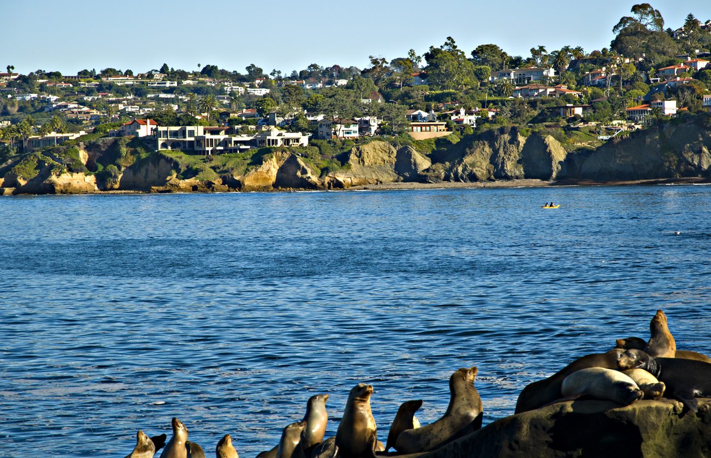 San Diego skyline and harbour