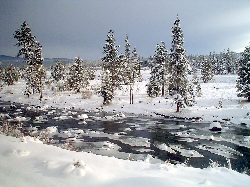 Truckee River Kayak and Downtown Paddle