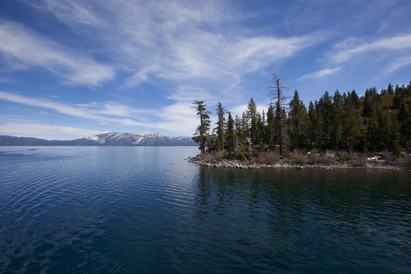 Clear blue water and pines at Lake Tahoe